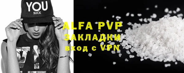 индика Приозерск