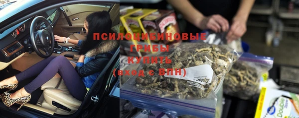 гашик Видное