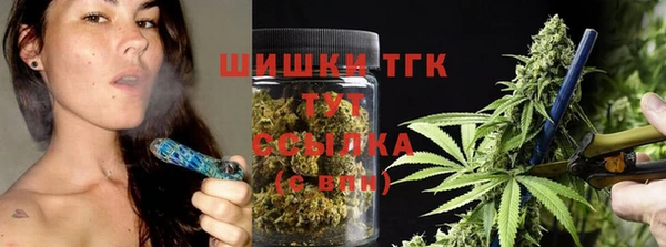 индика Приозерск