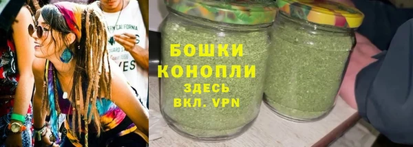 индика Приозерск