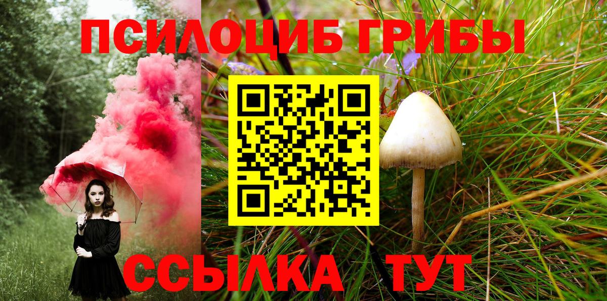 Псилоцибиновые грибы ЛСД  Псилоцибиновые грибы MAGIC MUSHROOMS  Дятьково  Вход с VPN 